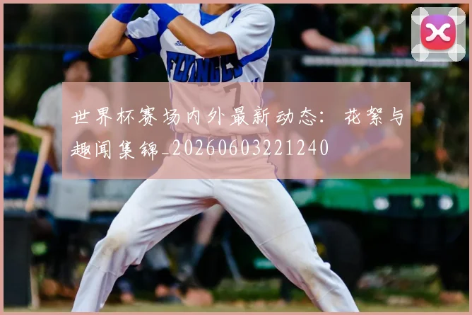 世界杯赛场内外最新动态:花絮与趣闻集锦_20260603221240