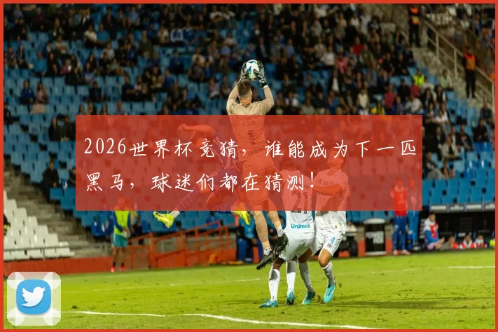 2026世界杯竞猜，谁能成为下一匹黑马，球迷们都在猜测！