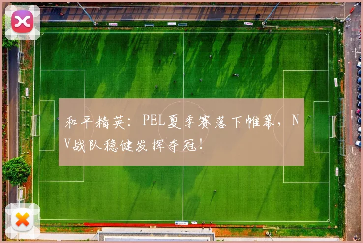 和平精英:PEL夏季赛落下帷幕,NV战队稳健发挥夺冠!