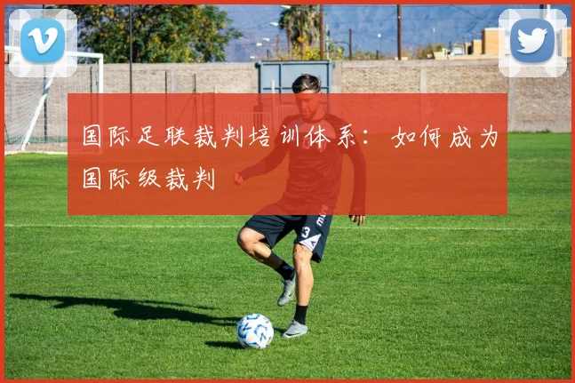 国际足联裁判培训体系：如何成为国际级裁判