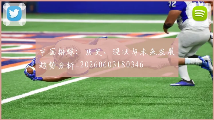 中国排球：历史、现状与未来发展趋势分析_20260603180346