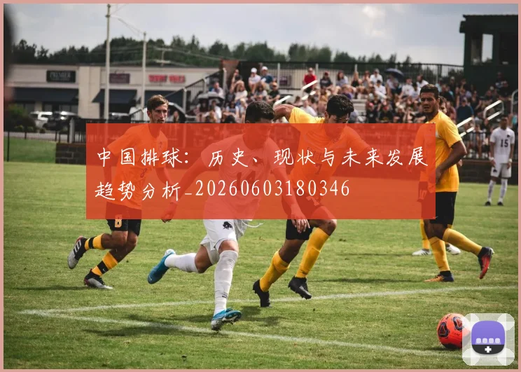 中国排球：历史、现状与未来发展趋势分析_20260603180346