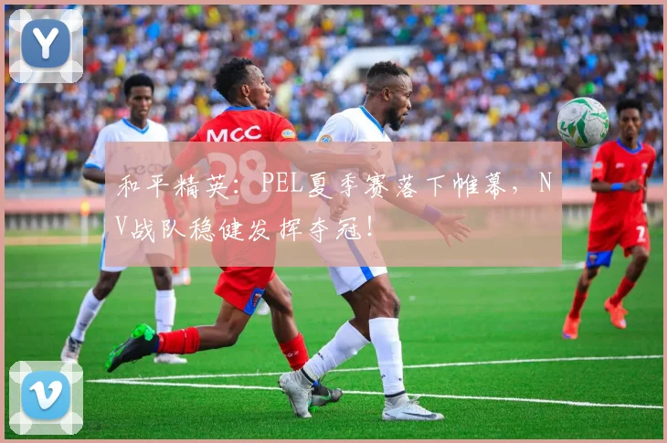 和平精英：PEL夏季赛落下帷幕，NV战队稳健发挥夺冠！