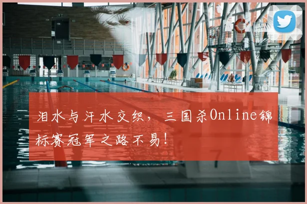 泪水与汗水交织，三国杀Online锦标赛冠军之路不易！