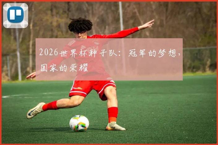2026世界杯种子队：冠军的梦想，国家的荣耀