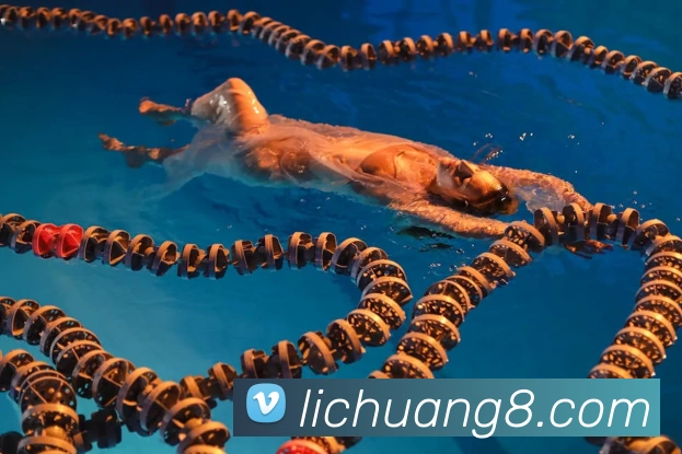 世界杯官网APP 封面图